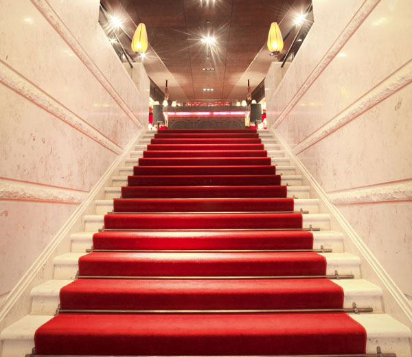 Stairs Carpet