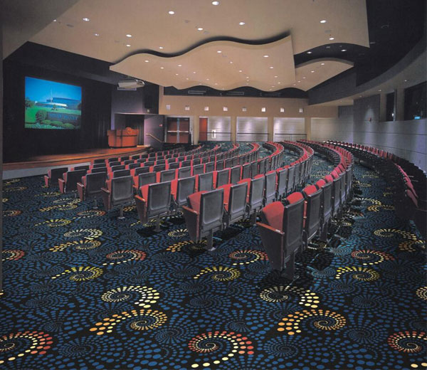 Cinema Carpet