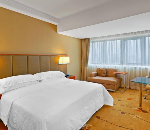 Guest Room Carpet