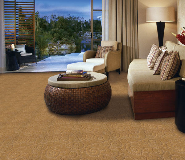 Tufted Carpet