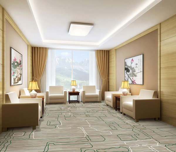 VIP Room Carpet