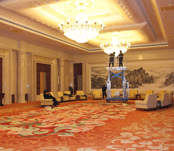 Hand Tufted Carpet